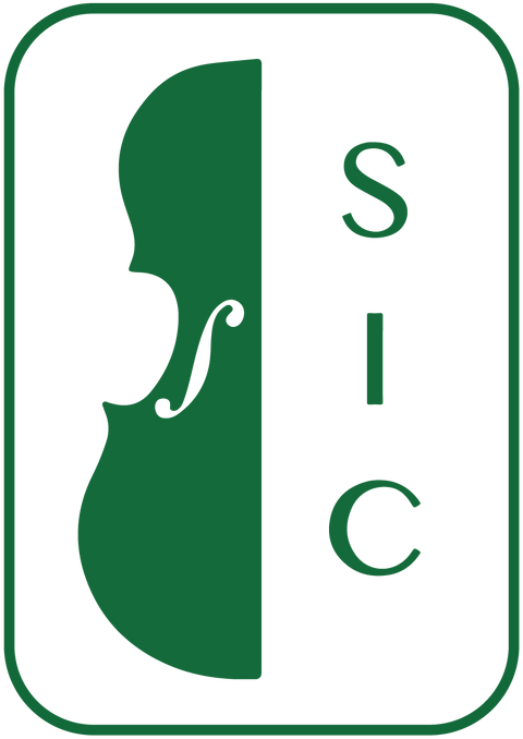 The Stringed Instrument Company