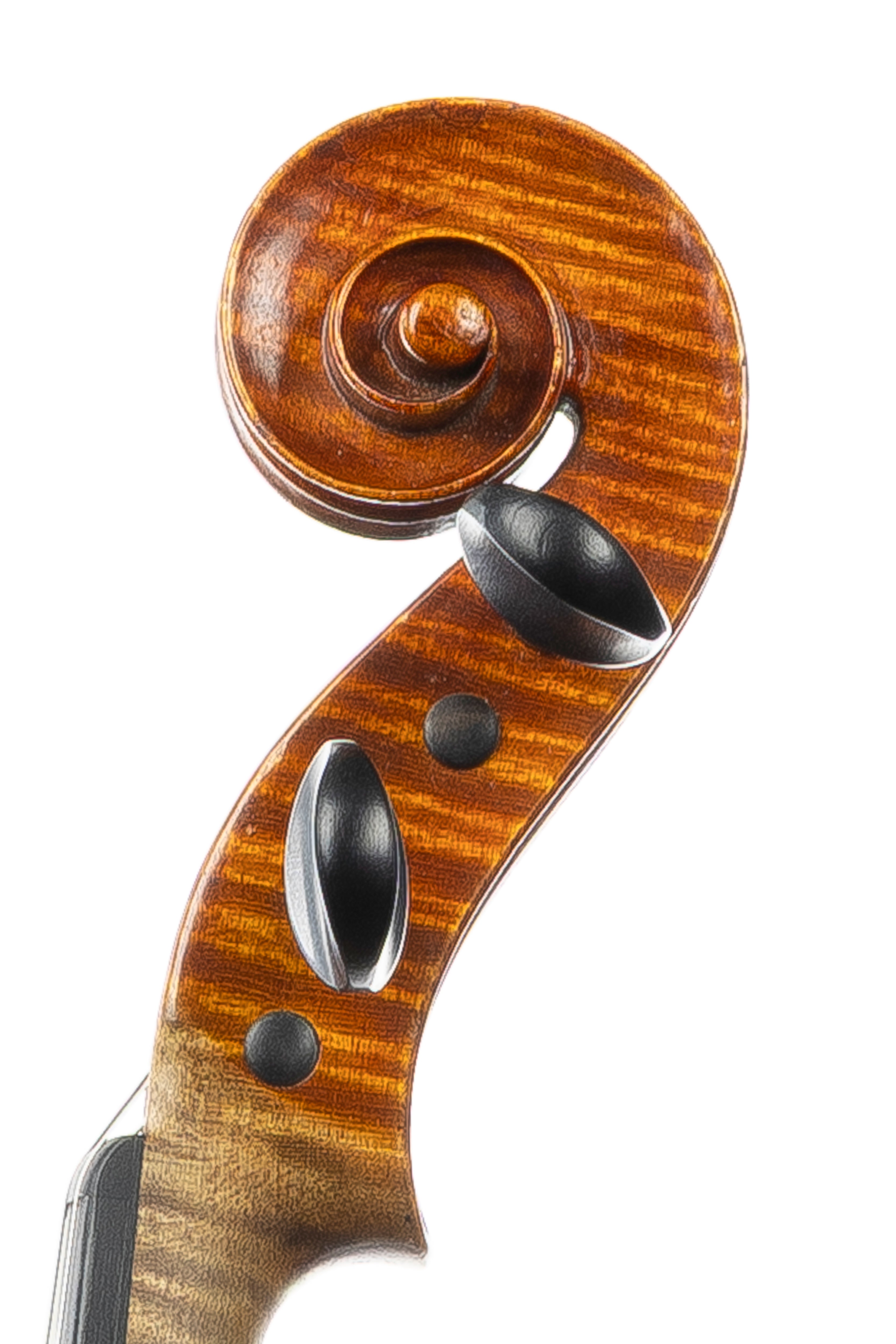 Giulio Degani violin, Venice 1903 – The Stringed Instrument Company