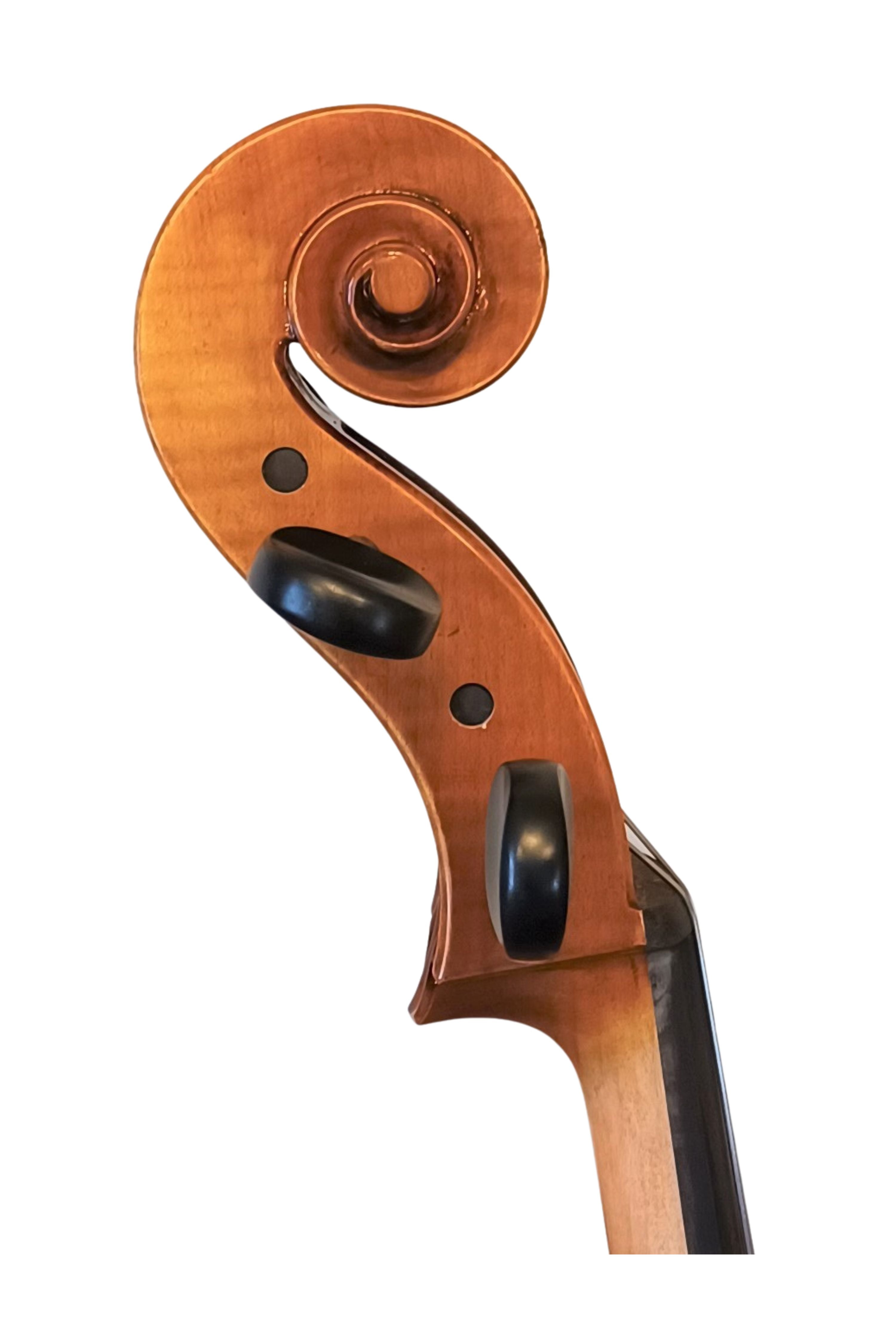 The Stringed Instrument Company New Zealand at Kathleen Lynch blog