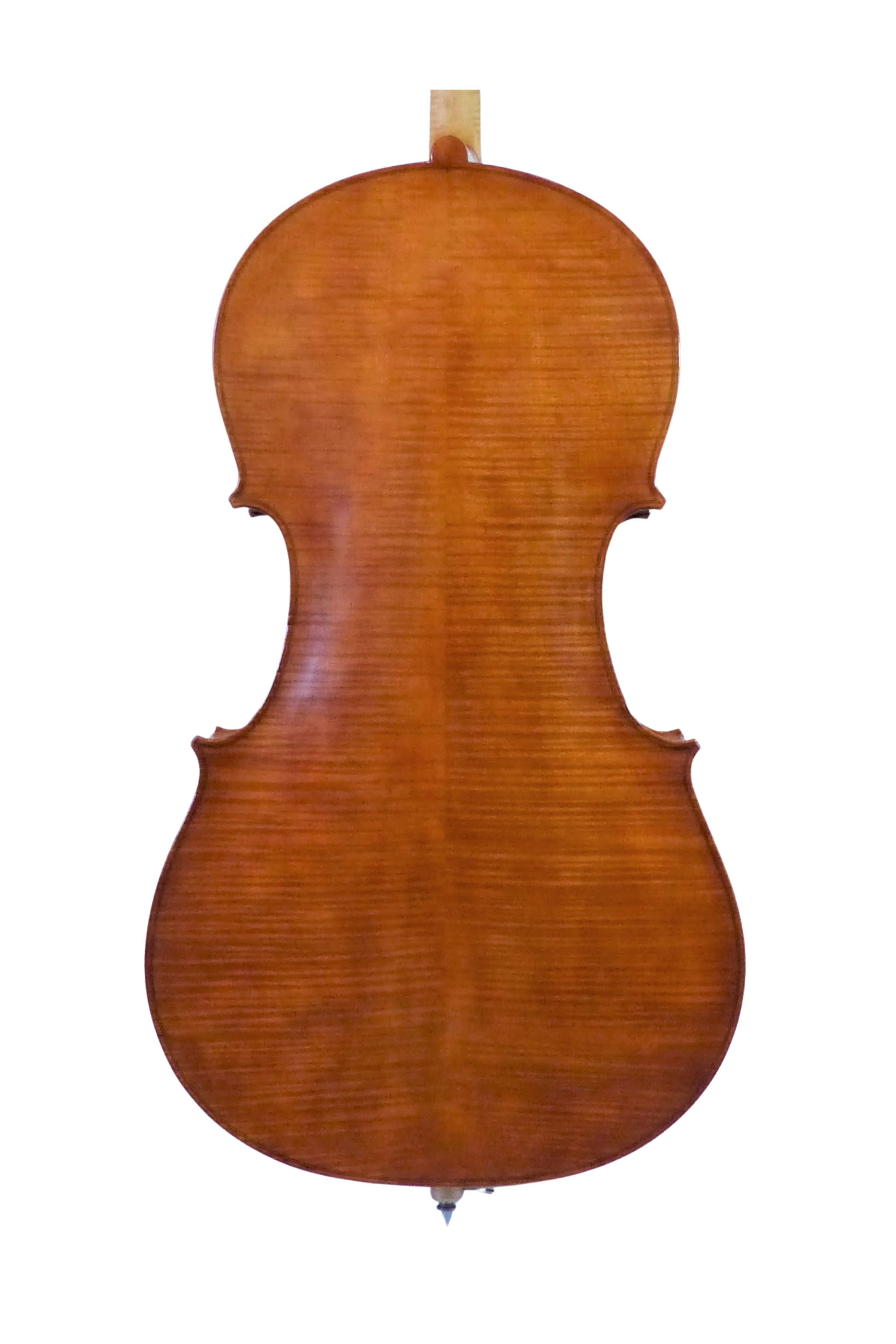 Malcolm Collins cello 32, 2021 The Stringed Instrument Company