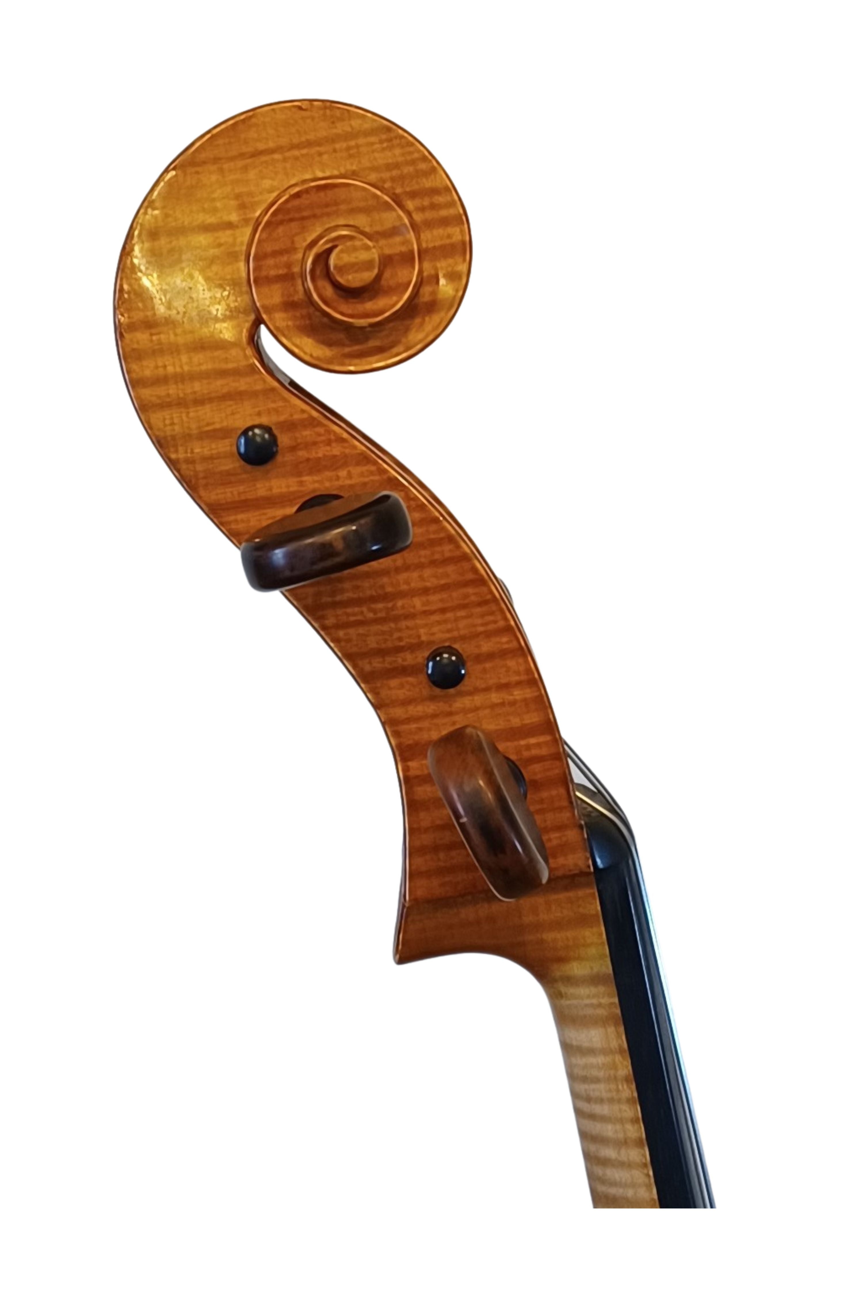 The Stringed Instrument The Stringed Instrument Company New Zealand at Kathleen Lynch blog